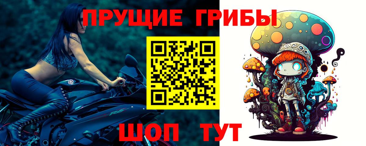 Людиново  Псилоцибиновые грибы Psilocybe  Галлюциногенные грибы ЛСД  Вход с VPN 